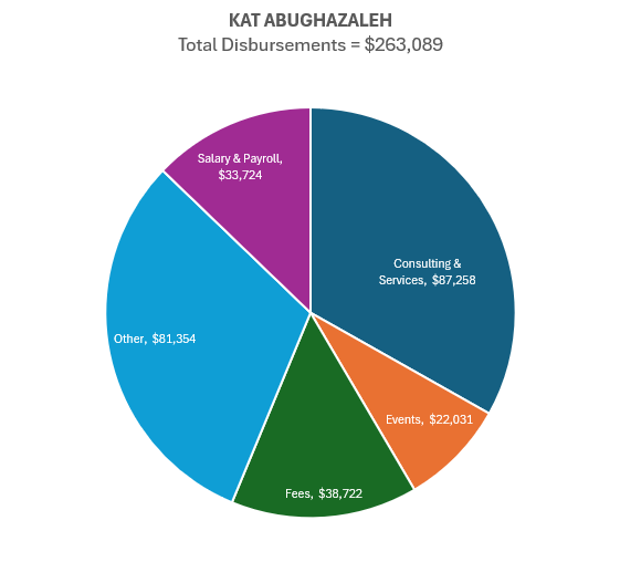 The largest spending category for Kat Abughazaleh was Consulting & Services.